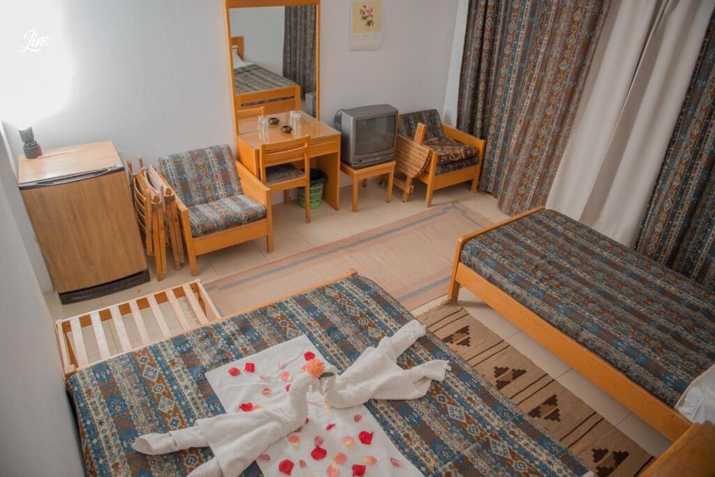 Lagona Dahab Hotel Extérieur photo