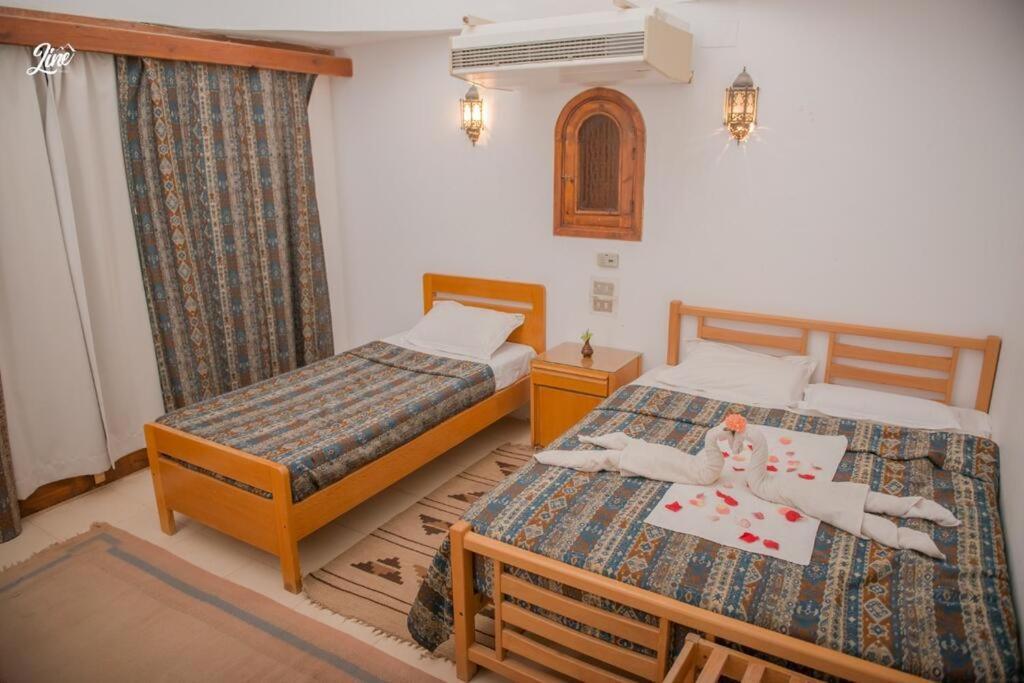 Lagona Dahab Hotel Extérieur photo